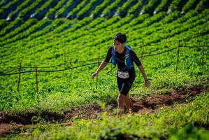 BIB: 
                            <button type="button" onclick="openModal(19160648)" class="btn btn-primary btn-sm float-right btn-popup" data-toggle="modal" data-target=".modal-high-quality">
                        <i class="fas fa-shopping-cart"></i> Add to Cart
                    </button>
                                            <button type="button" onclick="isThisMe(19160648, true)" class="btn btn-success btn-sm float-right btn-popup btn-isme hidden" data-toggle="tooltip" data-placement="bottom" title="นี่คือรูปของคุณใช่ไหม คลิกที่นี่เพื่อเอาเข้าอัลบั้ม">
                        <i class="fas fa-plus"></i> Add to album
                    </button>
                    <button type="button" onclick="isThisMe(19160648, false)" class="btn btn-warning btn-sm float-right btn-popup btn-isnotme hidden">
                        <i class="fas fa-ban"></i> Remove from album
                    </button>